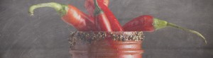 Best Bloody Mary Contest Davis Woodstock's